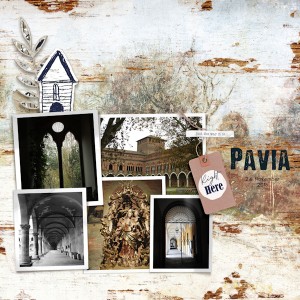 181124_Pavia02