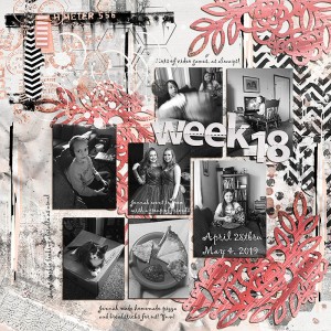 Project-life-jan-30-cut-file