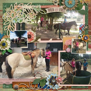 Horses