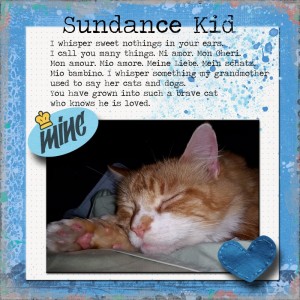Sundance Kid My Lovebug