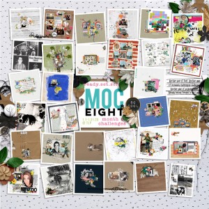 MOC 8 Collage