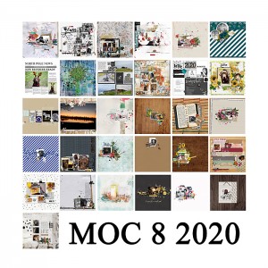 MOC 8 Completed Collage