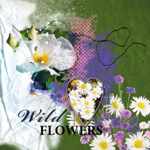Nbkeasypeasy_wildflowers