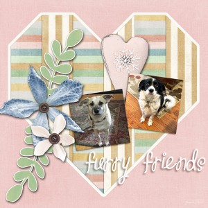 SwLMIS_furryfriends