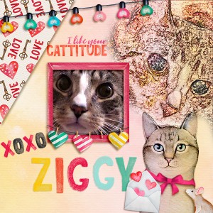 Ziggy