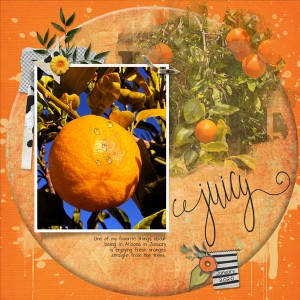 02-04_Host-Christa_Juicy