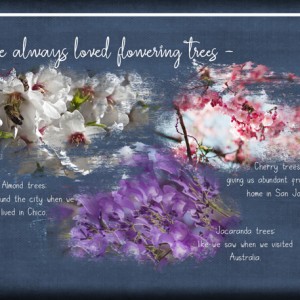 ATC-2020-020-Flowering-Trees