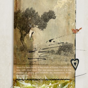 Olive Tree
