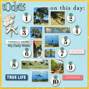 February Sahlin Studio Challenge
