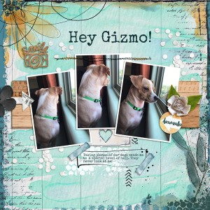 Hey Gizmo!