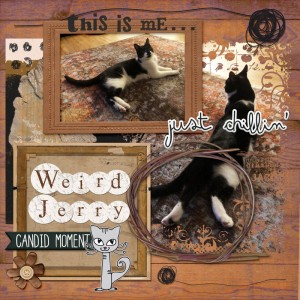 Weird Jerry