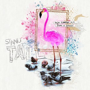 Stand Tall: NBK Design's Advanced Challenge [February]