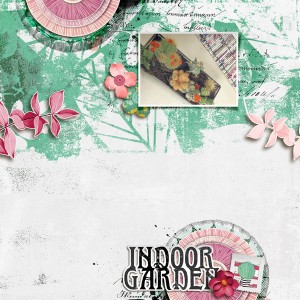 Indoor Garden