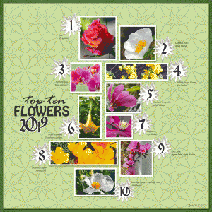 Sahlinstudio_flowers