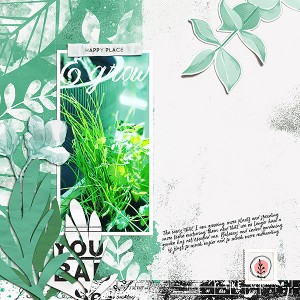 Herbs