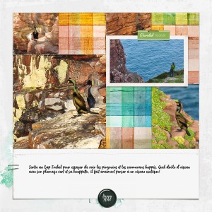 Cormorans Et Guillemots Fev20 Copie