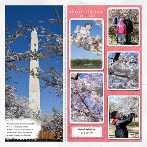 Cherry Blossom Festival