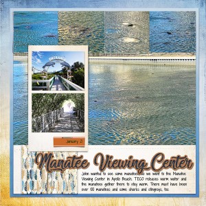 Manatee Viewing Center_left