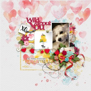 Wild About You