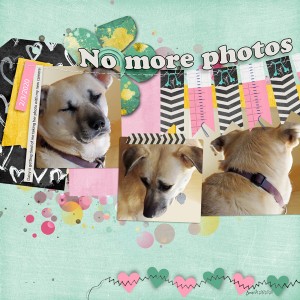 SwL_nomorephotos
