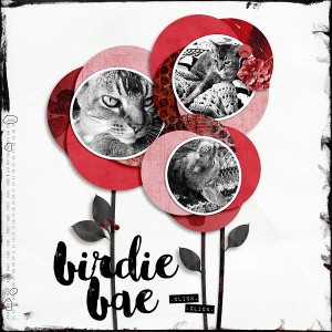 Birdie Bae