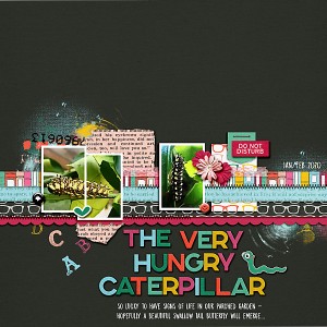 The-very-hungry-caterpillar