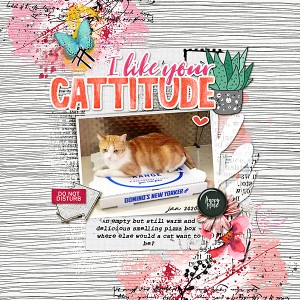 Cattitude
