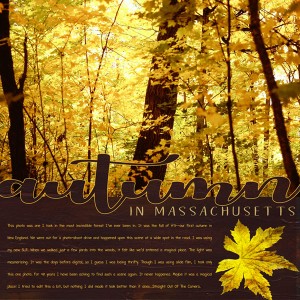 02_Wk-2_Autumn-in-MA