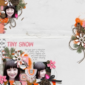 Tiny Snow