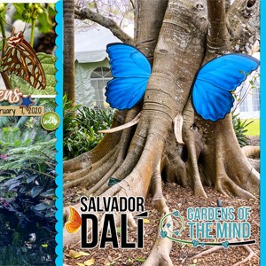Dali at Selby Gardens