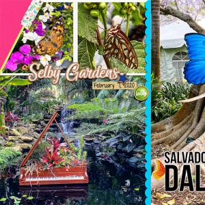 Dali at Selby Gardens_left