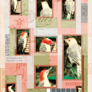 The-Committed-Crafter_2020-02_February_SOSN_0212_Print&Paint_DebiHappyPlace_web