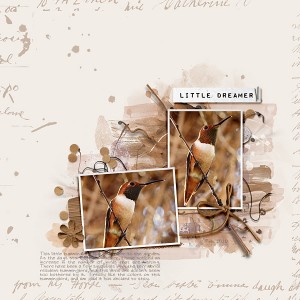 Little Dreamer