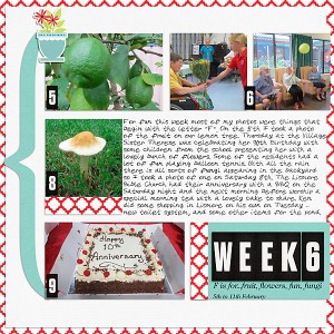 Project Life 2020 Week 6
