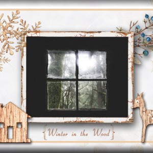 Winter-in-the-Wood