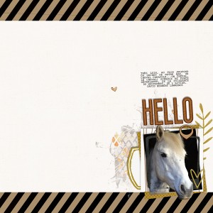 Hello