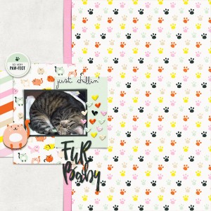 JustJaimee_LOD2020_Cats