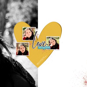 20.02.15.coeur_600_R