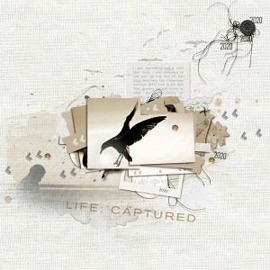 Life : Captured