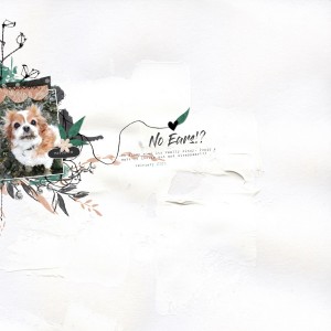 No Ears!!!