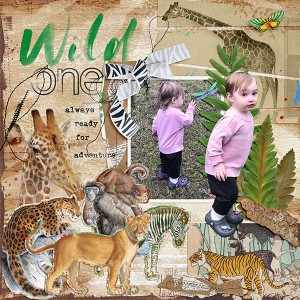 Wild One