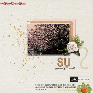 SU