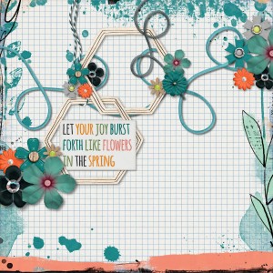 20 Feb Slow Scrap