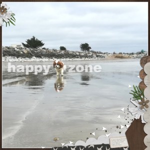 Happy Zone