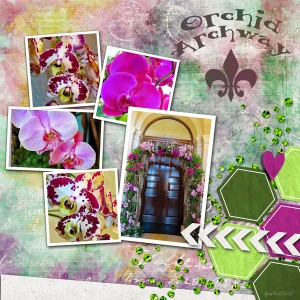 SwL_orchidarchway