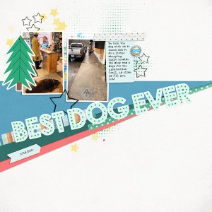 Best Dog Ever