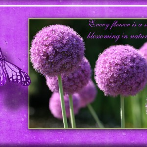 Flower