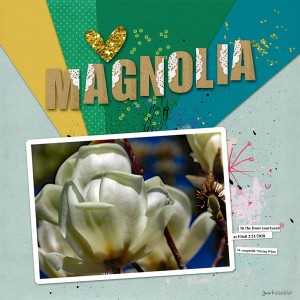 VW_magnolia