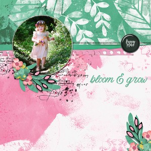 Bloom and Grow
