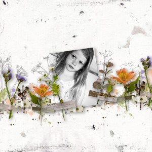 LOD_2-25_TCC